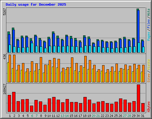 Daily usage for December 2025