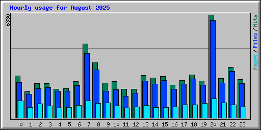Hourly usage for August 2025