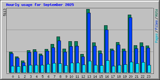 Hourly usage for September 2025