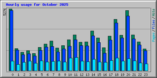 Hourly usage for October 2025