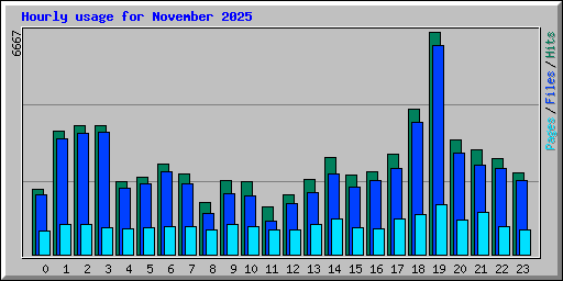 Hourly usage for November 2025