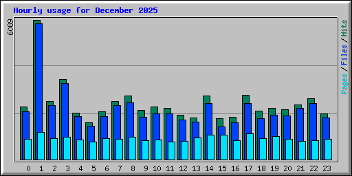 Hourly usage for December 2025