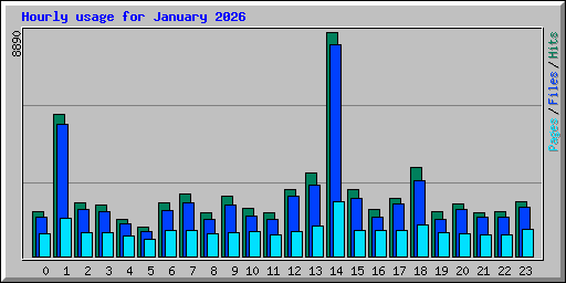 Hourly usage for January 2026