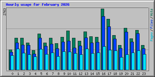 Hourly usage for February 2026