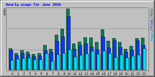 Hourly usage for June 2026